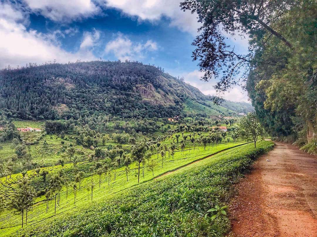 Nilgiri Mountain Scenery